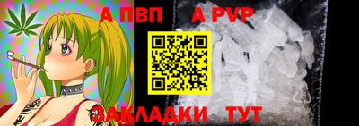 индика Донской