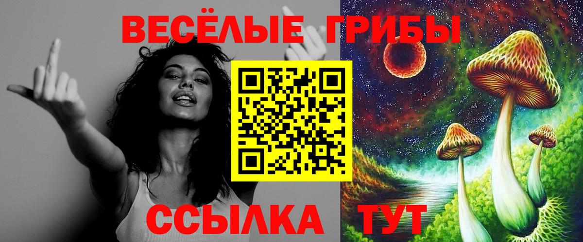 Псилоцибиновые грибы Psilocybe Муром