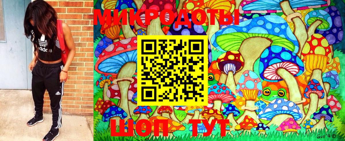 даркнет сайт  Муром  Галлюциногенные грибы прущие грибы 