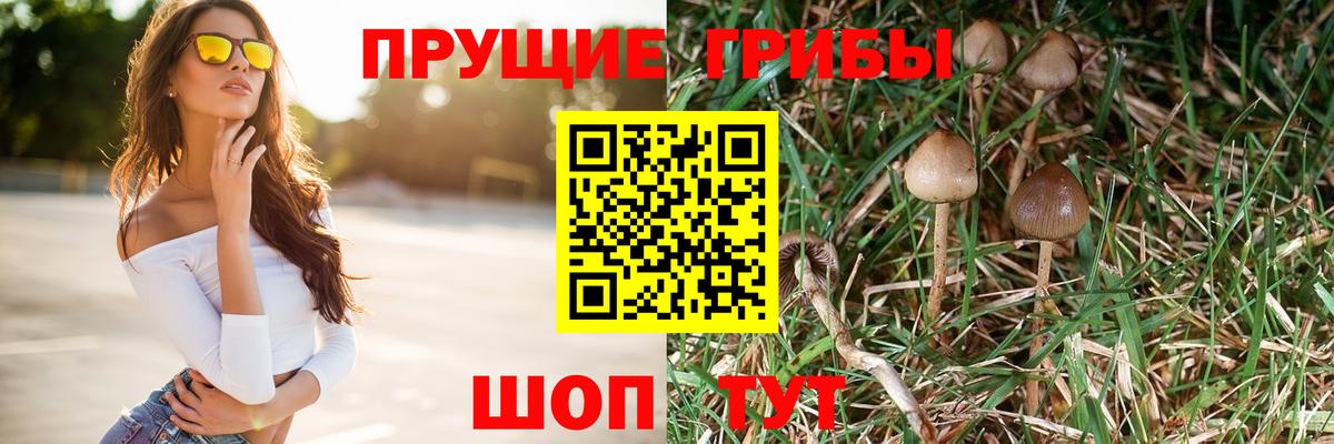 Псилоцибиновые грибы мицелий Муром