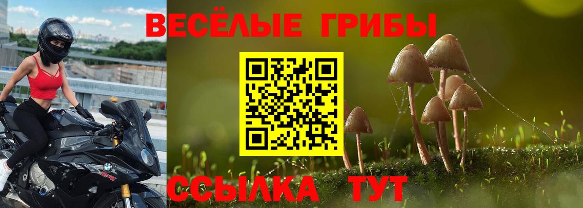 Псилоцибиновые грибы прущие грибы  Вход с VPN  Галлюциногенные грибы прущие грибы  Муром 